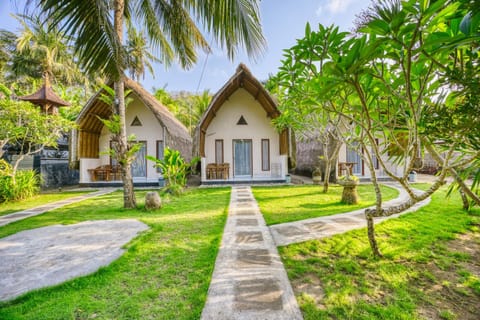 Property building, Garden view