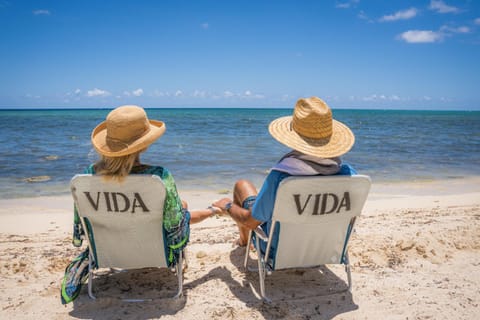 People, Beach, Guests, Sea view, sunbed