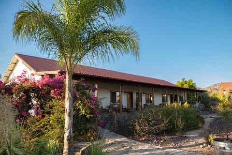 Terra del Valle Bed & Breakfast Bed and Breakfast in State of Baja California