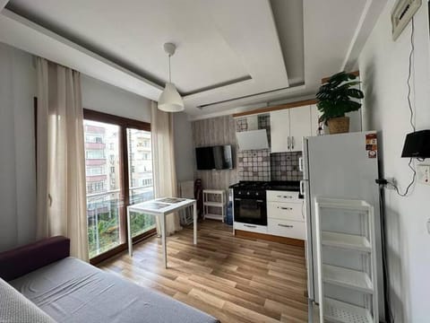 Deniz One Bedroom Appartment Condo in Mersin