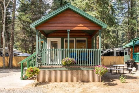 The Wolf Den Cabin #13 at Blue Spruce RV Park & Cabins House in La Plata County