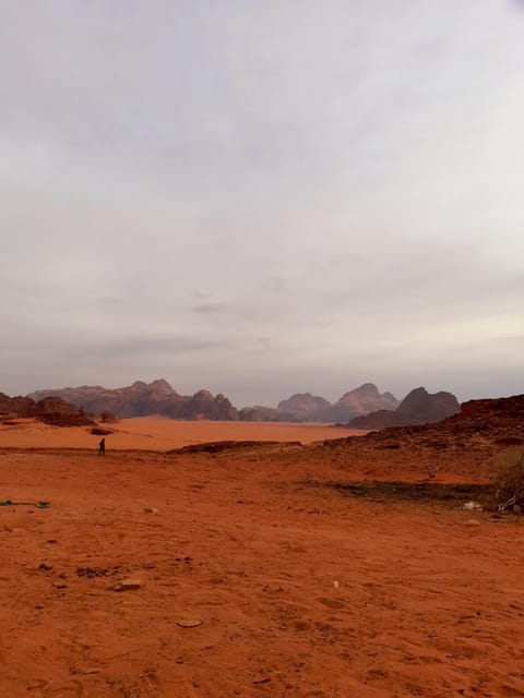 Valera Wadi Rum Bed and Breakfast in South District