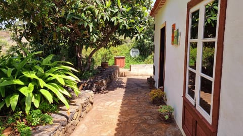 Property building, Garden, Garden view