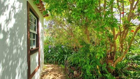 El Jócamo House in La Palma