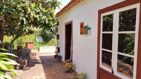 Property building, Garden, Garden view