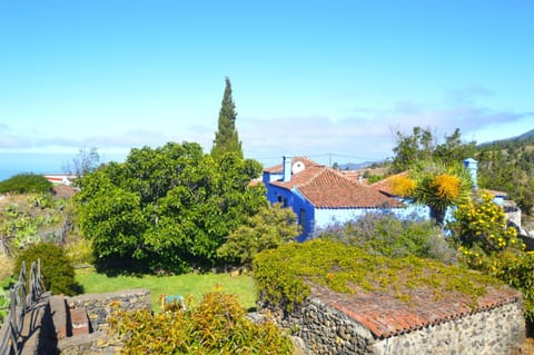 Property building, Garden, Garden view