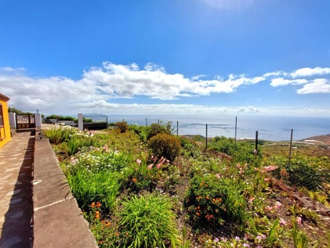 Garden, Sea view