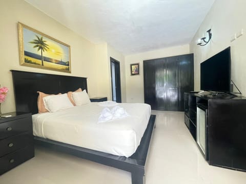 Hotel Brisa Hôtel in Punta Cana