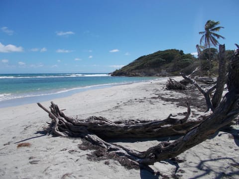 Nearby landmark, Day, Natural landscape, Beach