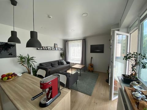 City Park Apartment Apartment in Vilnius