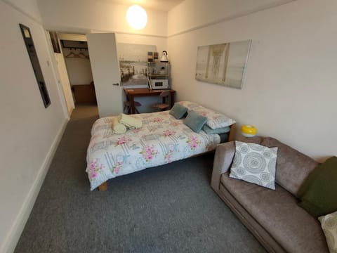 Guest suite 50m from the beach Apartamento in Bognor Regis