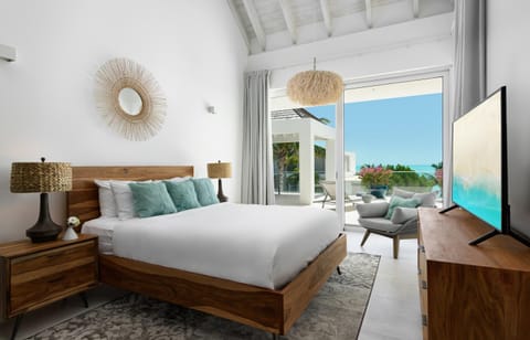 Ocean Dream 2 BR Villa Blue Villa in Turks and Caicos Islands