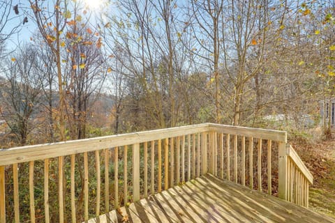 Asheville Vacation Rental about 8 Mi to Downtown! House in Upper Hominy