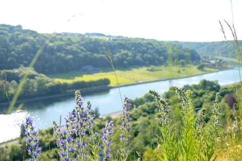 Nearby landmark, Natural landscape, River view