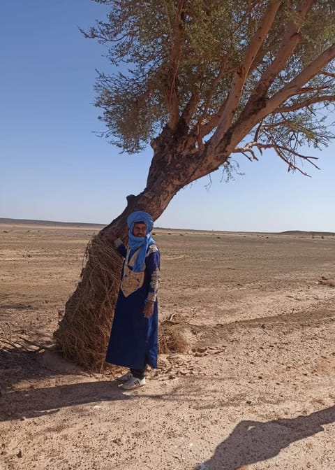 Auberge Sahara Iriki & Désert Tours Country House in Souss-Massa