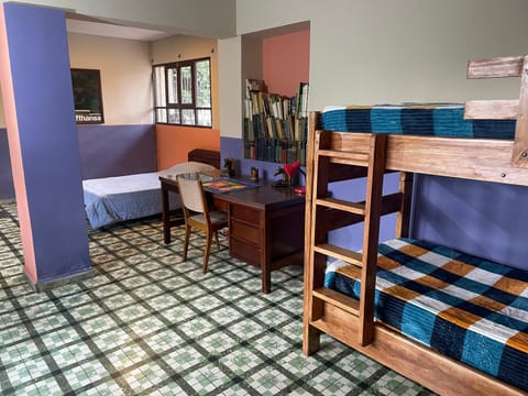 Bed, Photo of the whole room, Seating area, Bedroom, bunk bed