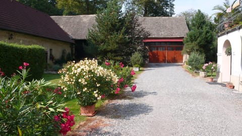 Facade/entrance, Garden, Autumn, Garden view