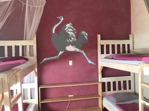 ParadiseGarden Backpackers Hostel in Windhoek