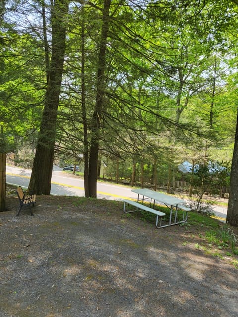 Cozy on Lake Shore House in Deep Creek Lake