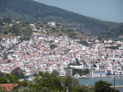 Filoxenia Apartment in Skopelos