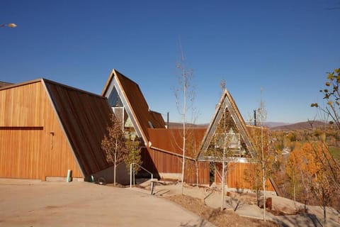 Alpine House #1 Chalet in Steamboat Springs