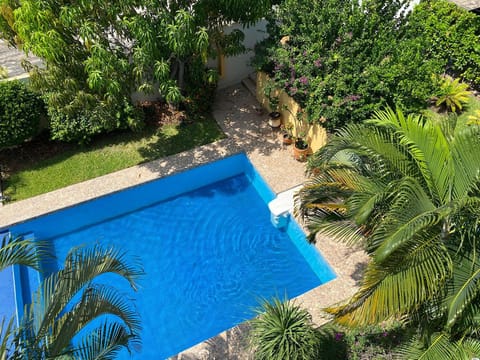 Garden, Pool view, Swimming pool