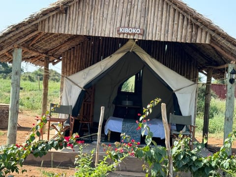 Amboseli Discovery Camp Tienda de lujo in Kenya