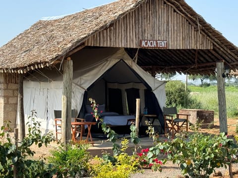 Amboseli Discovery Camp Luxus-Zelt in Kenya