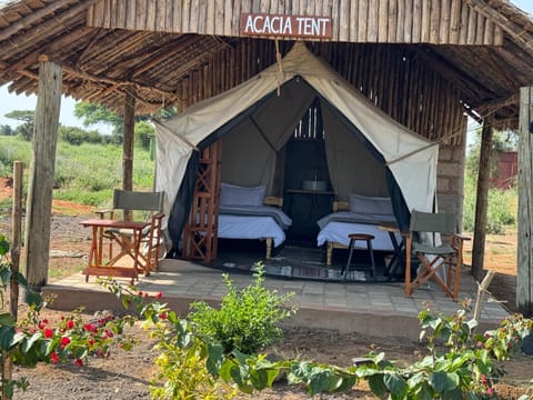 Amboseli Discovery Camp Luxus-Zelt in Kenya
