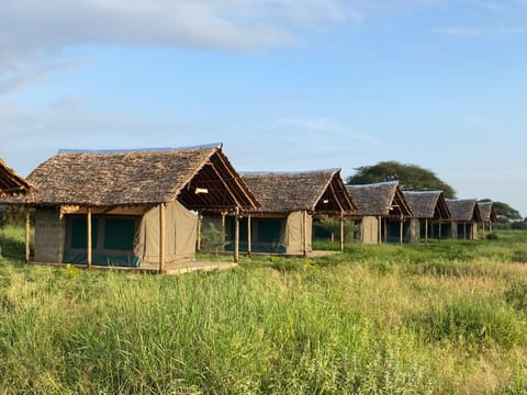 Property building, Natural landscape