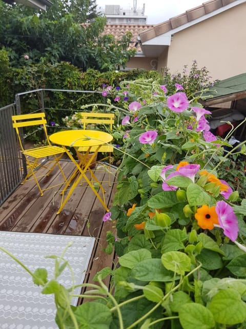 Patio, Spring, Garden view