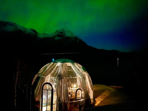 Lofoten glampingdome Luxury tent in Lofoten