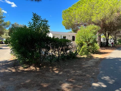 Natural landscape, Garden, View (from property/room)