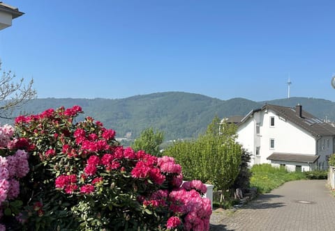 Ferienwohnung Rhein-Panorama Condo in Koblenz