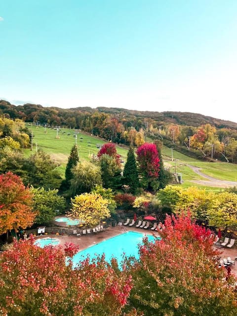 Hot Tub, Swimming pool