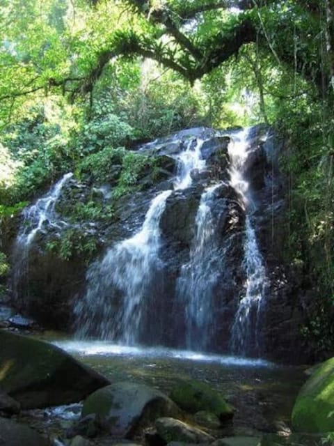 house with swimmingpool, sauna and games room. House in Angra dos Reis