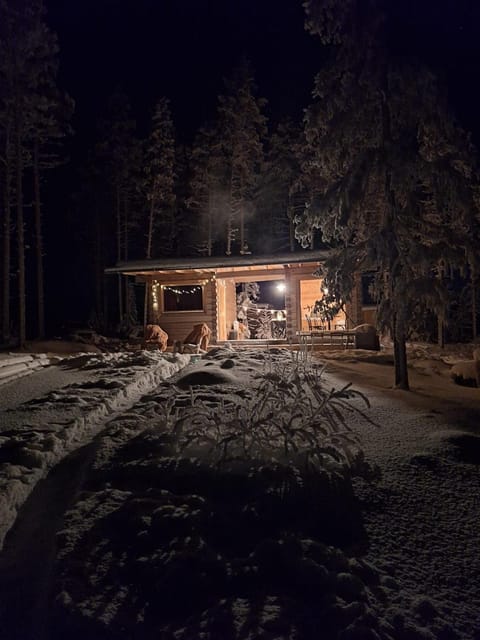 Wilderness Cabin Onnela Maison in Rovaniemi