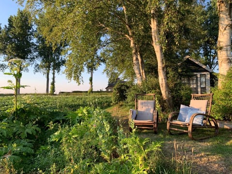 Summer, Garden, On site, Garden view, Sunset