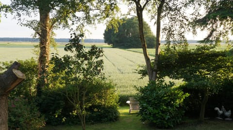 Day, Natural landscape, Summer, Garden, Garden, On site, Garden view, Garden view