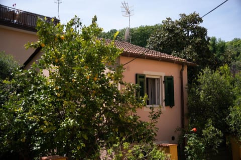 House in Pitelli - close to the 5 Terre, Gulf of Poets, Tuscany Casa in La Spezia