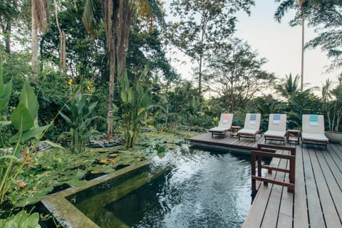 Luxury Villa Rainforest Estate with Pond Villa in Bocas del Toro Province
