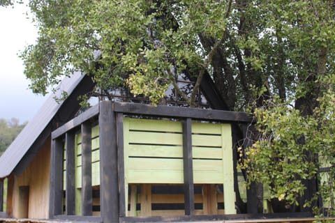 Cabaña en Arbol Quillay a 6Mts Apartment in O'Higgins, Chile