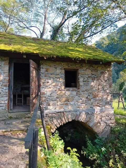 Casa Dănuț- Girliste House in Timiș County