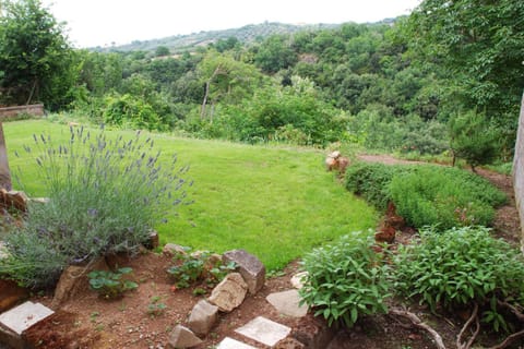 Garden, Balcony/Terrace, Garden view