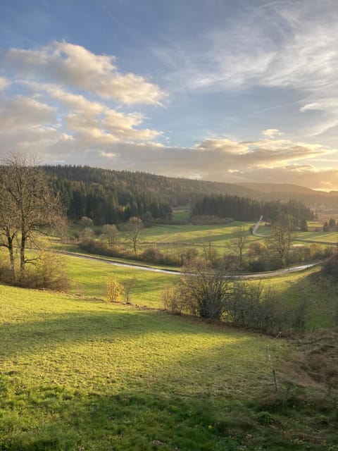 View (from property/room), Photo of the whole room, Garden view, Mountain view, Entertainment