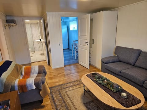 Living room, Seating area, wardrobe