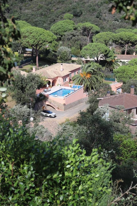 Garden, Pool view