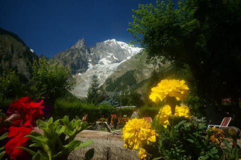 Facade/entrance, Summer, Garden