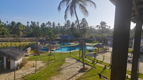 Garden, View (from property/room), Garden view, Swimming pool