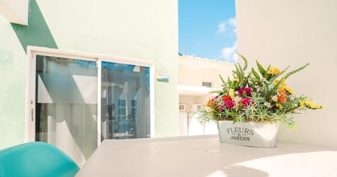 Kas Kanoa Curacao - Dòlfein Apartment in Willemstad